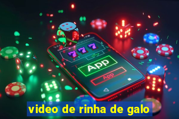 video de rinha de galo